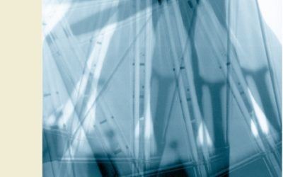 Ernest Petrič: Zunanja politika – Osnove teorije in praksa