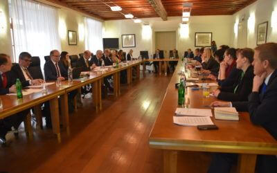 Razprava o prihodnosti EU: demokratična legitimnost EU in institucionalne spremembe