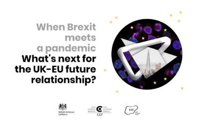 When Brexit meets a pandemic: What’s next for the UK–EU future relationship?