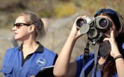 Online training on Gender Equality and Gender Mainstreaming in Peace Operations