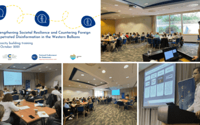 Second capacity-building training on countering disinformation in Portorož