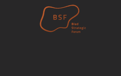 BSF Conference Report now out!