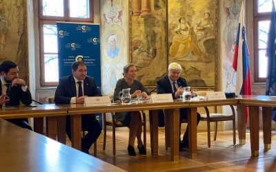 On Georgian Perspective with the Foreign Relations Committee of the Parliament of Georgia