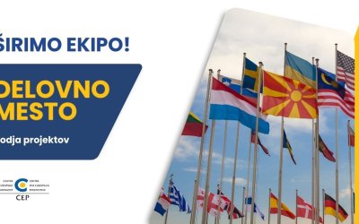 Razpis za delovno mesto – Projektni vodja II