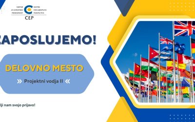 Razpis za delovno mesto – Projektni vodja II