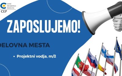 Razpis za delovno mesto Projektni vodja II