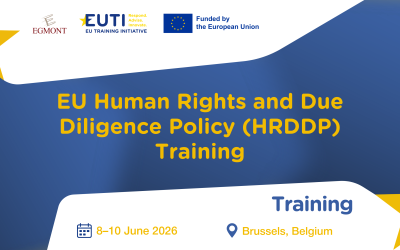 EUTI Training – Call for Applications: EU Human Rights and Due Diligence Policy (HRDDP) Training